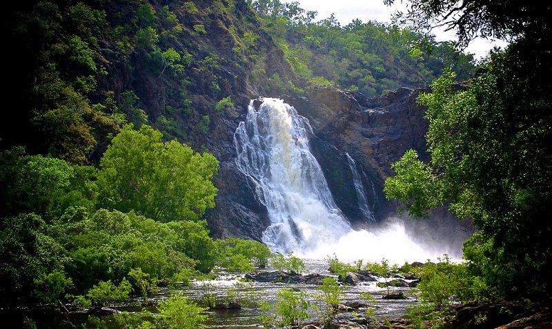 Daintree Rainforest - Australia