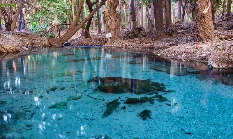 Mataranka hot spring - australia