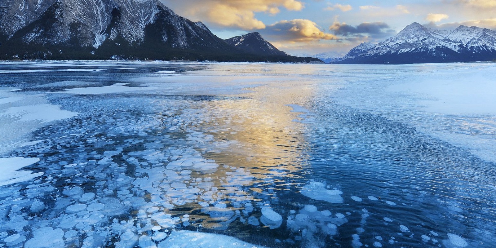 Abraham Lake Camping