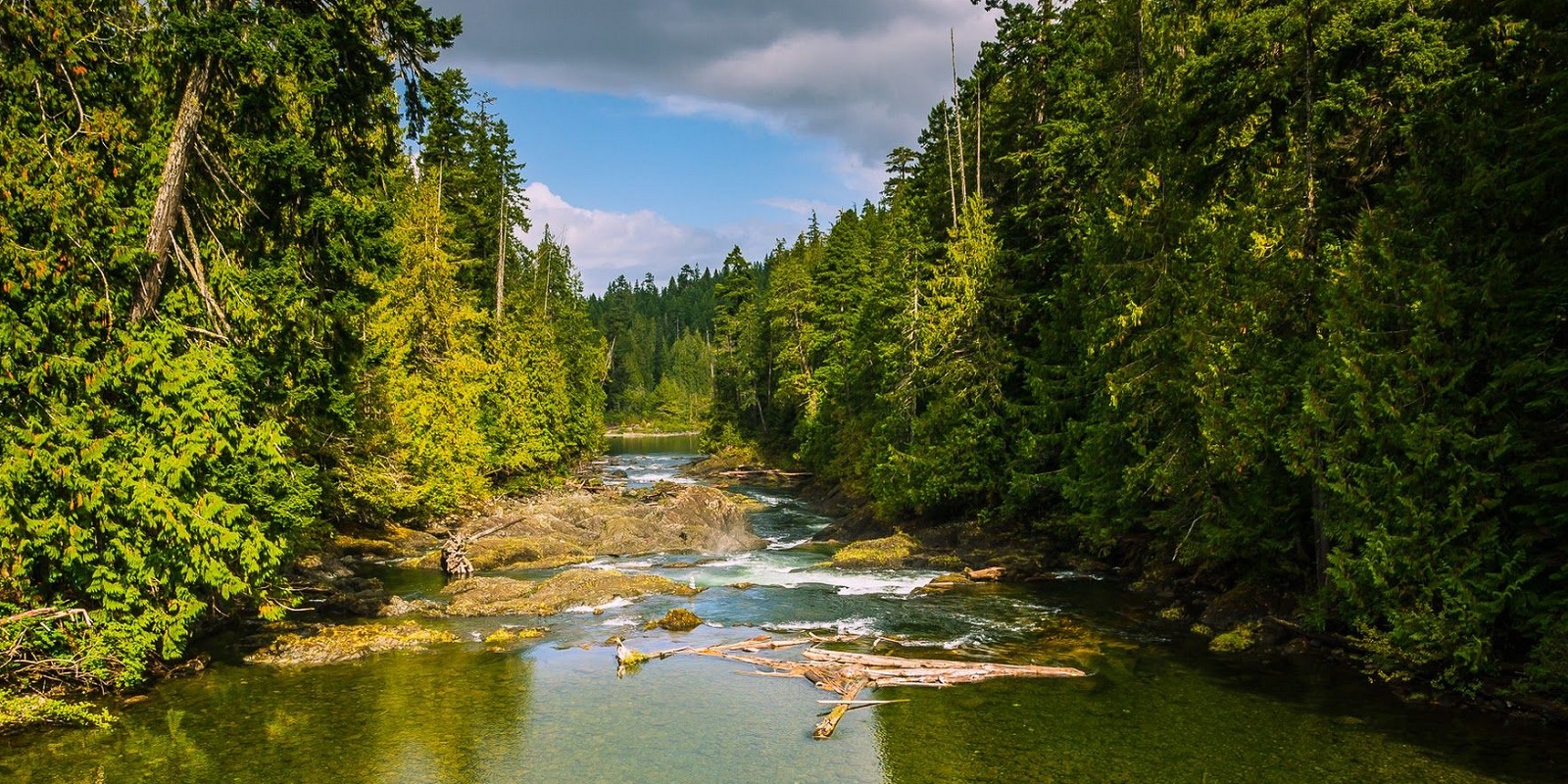 Alice Lake Camping