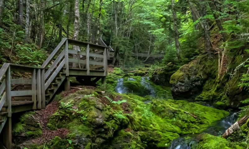 Fundy National Park Falls