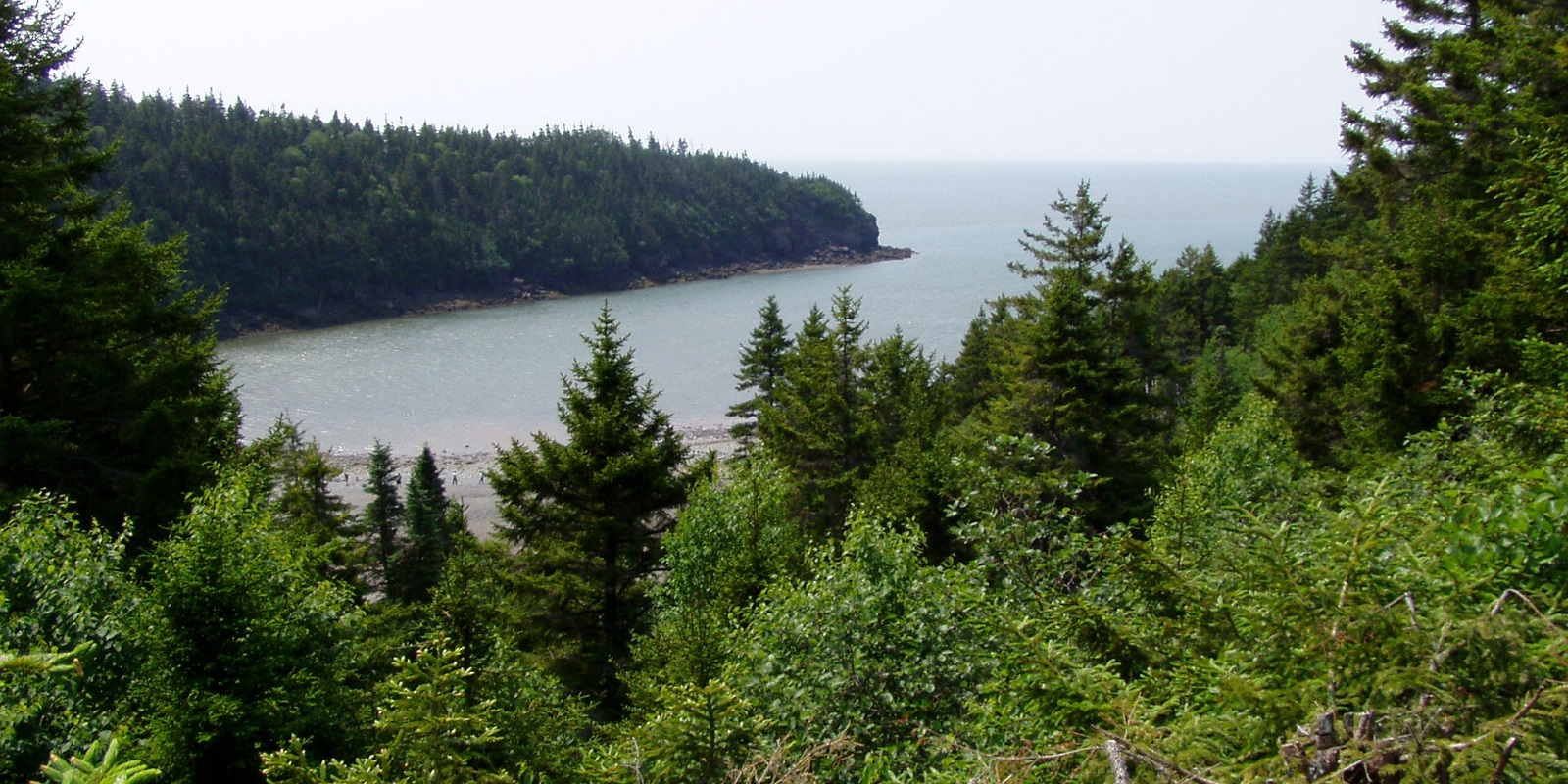 Fundy National Park