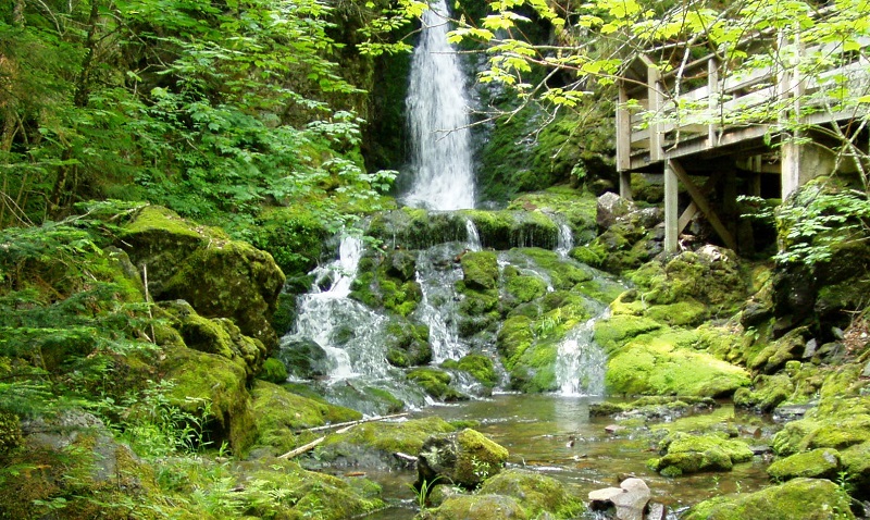 Fundy National Park Waterfall