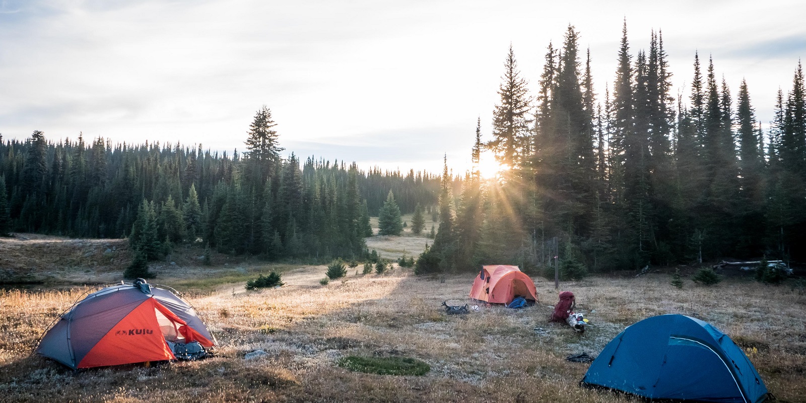 Point Wolfe Campground