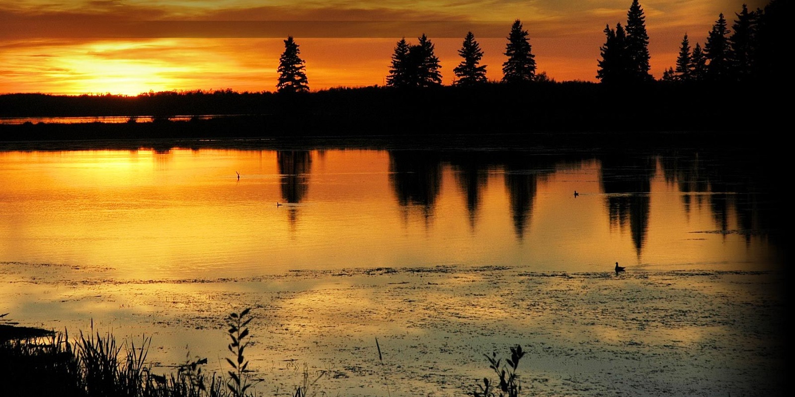 Elk Island <br> Camping