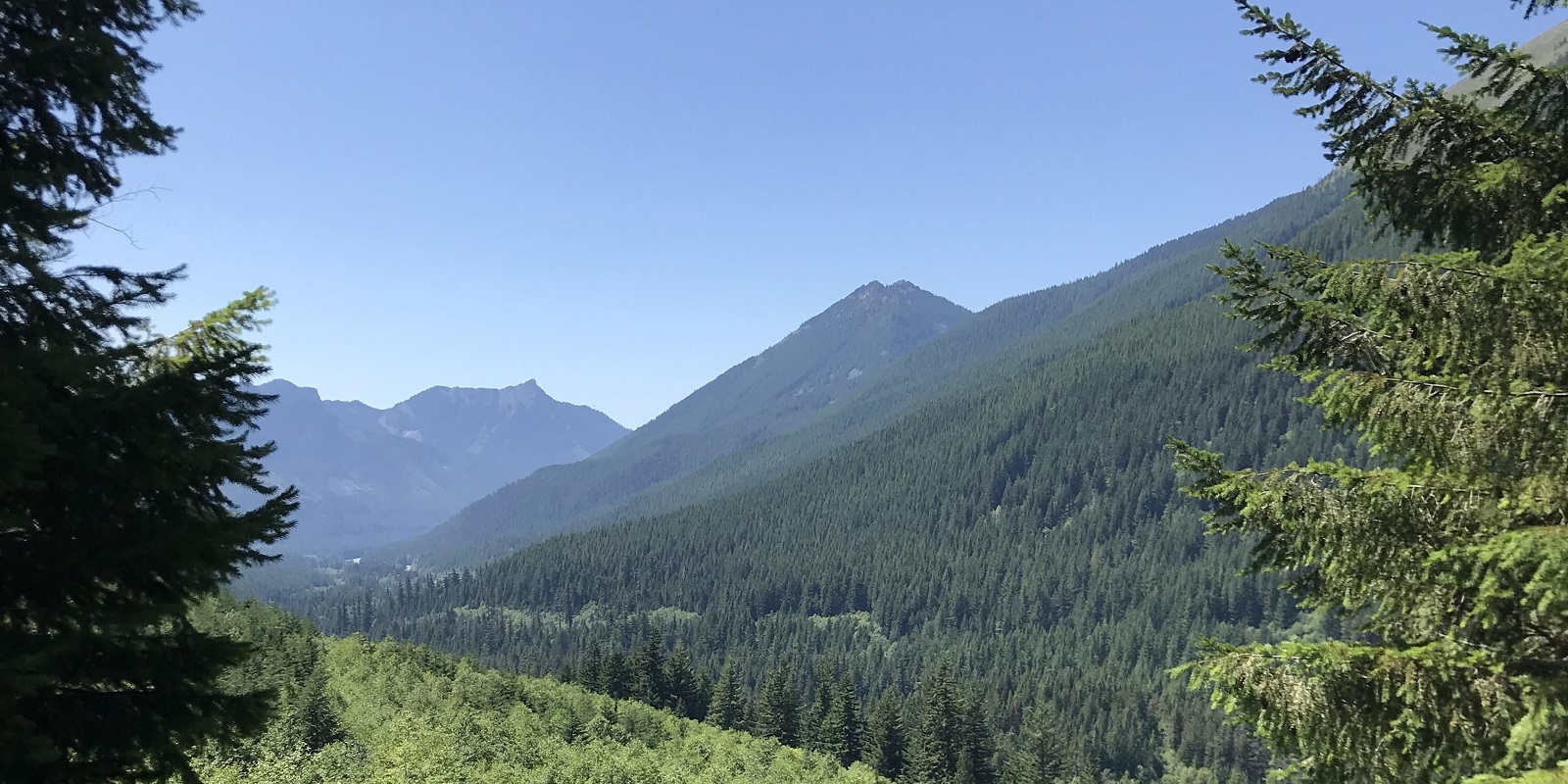 Tunnel Mountain <br> Campground