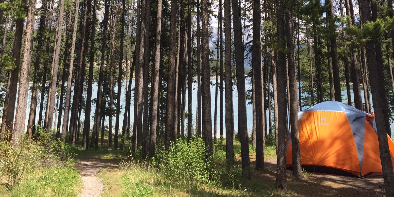 Two Jack Lakeside<br> Campground