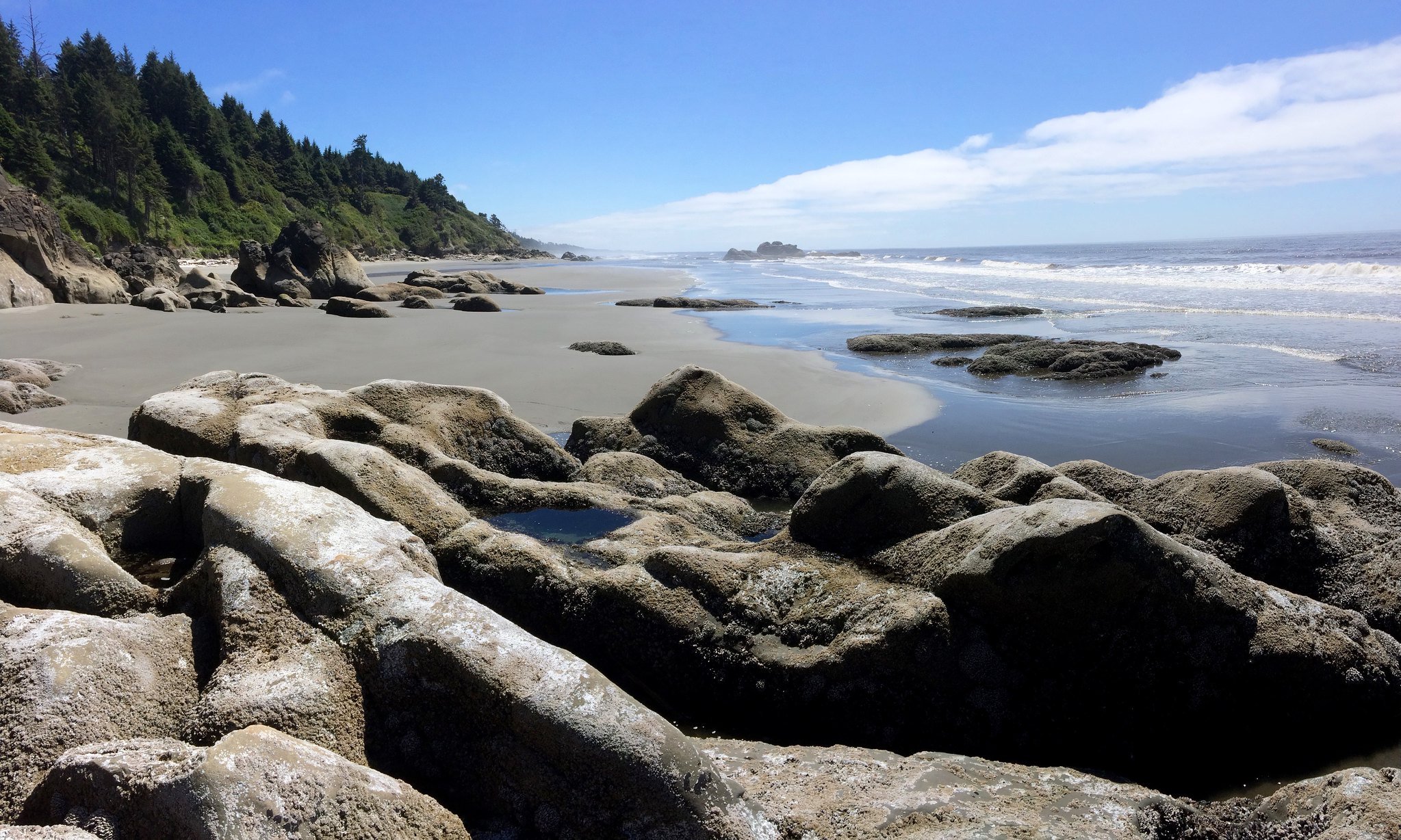 Kalaloch, 3rd Beach, on Olympic Loop Road, Washington