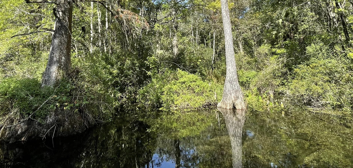 Edward Ball Wakulla Springs Park