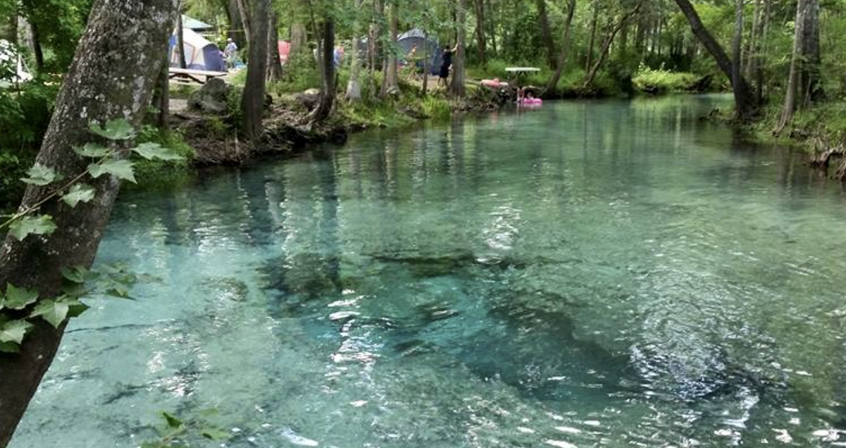 Ginnie Springs Outdoors