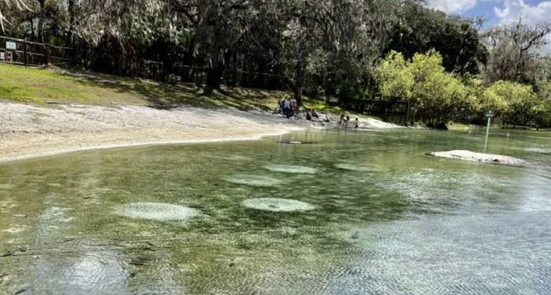 Lithia Springs Conservation Park