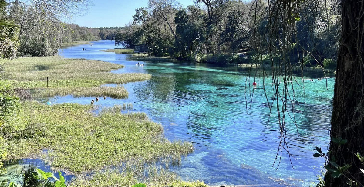 Rainbow Springs State Park