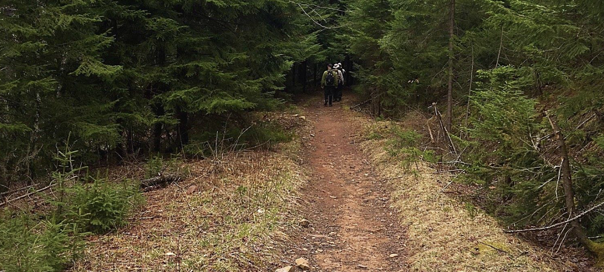 Seneca Creek Trail