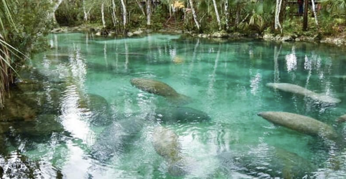 Three Sisters Springs