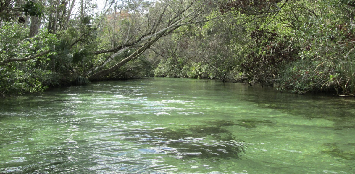 Weeki Wachee Springs Park