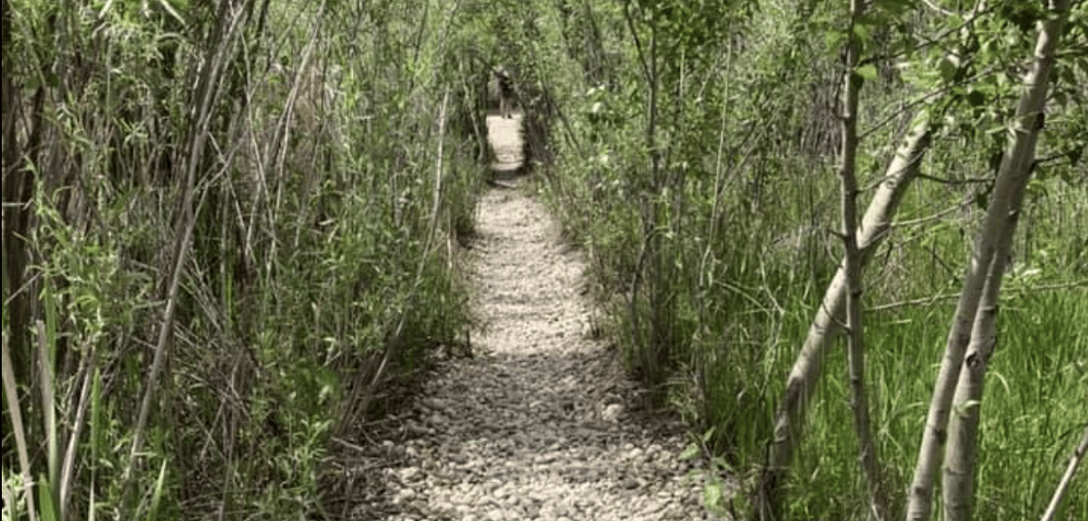 Hyatt Hidden Lakes Reserve Trail