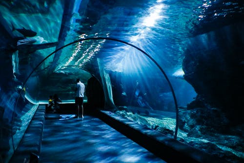 Aquariums in Nevada