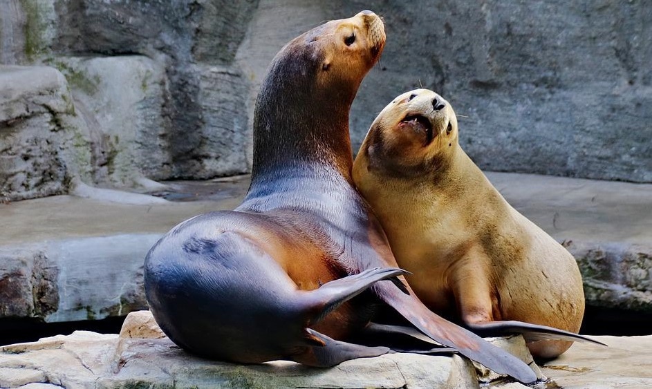 Albuquerque BioPark Zoo