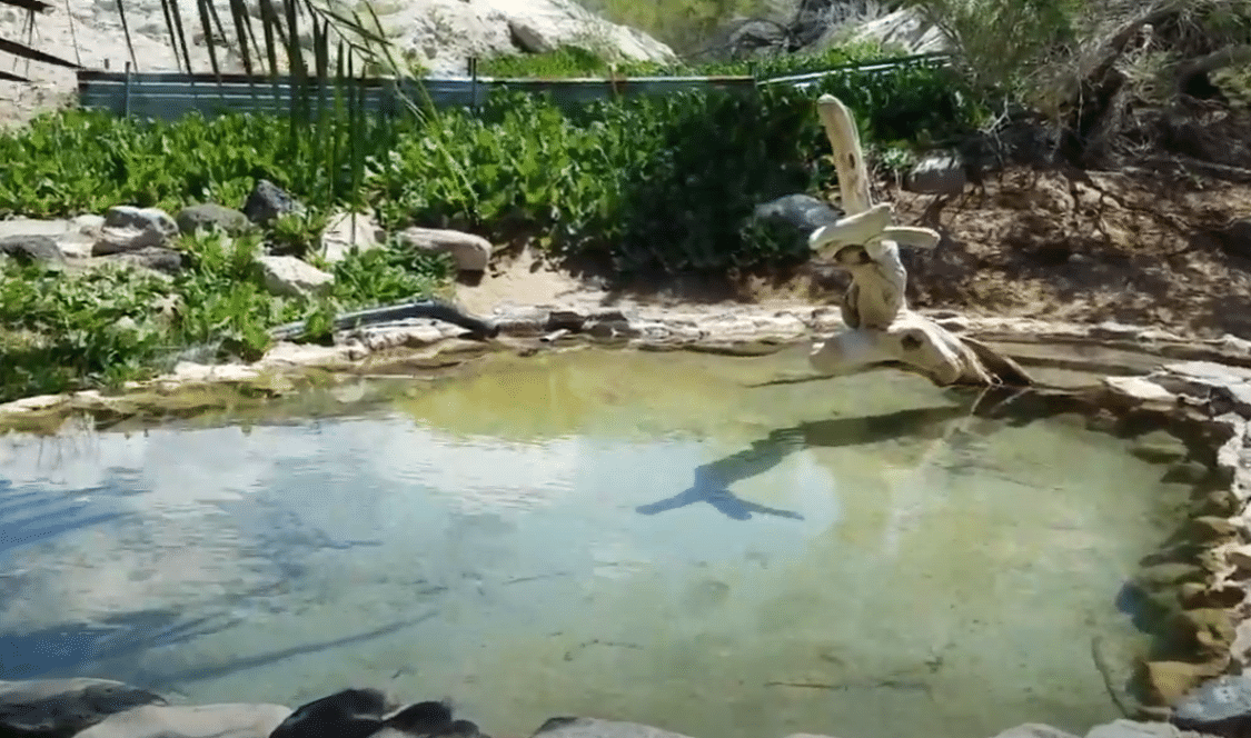 Saline Valley Hot Spring