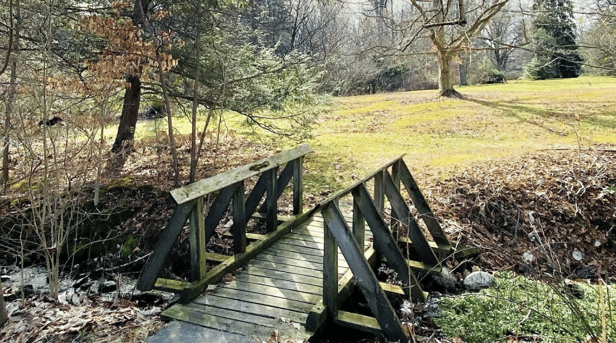 Tyler Arboretum