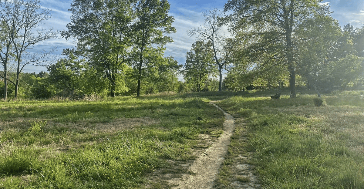 Wissahickon Valley Park