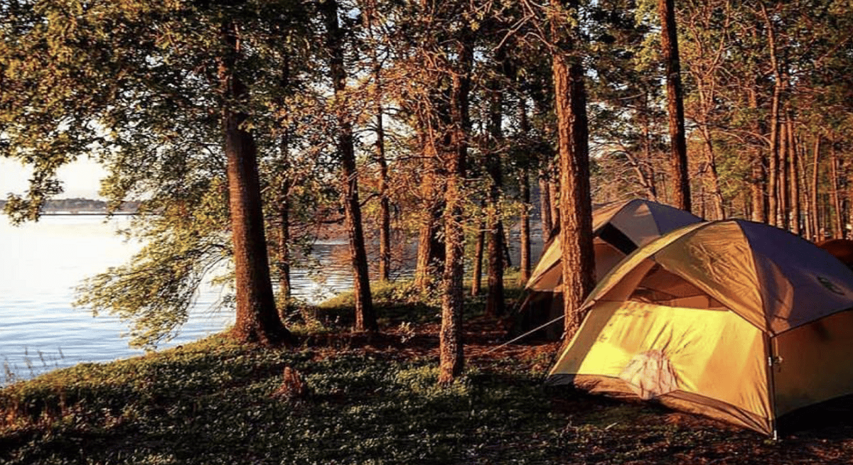 Lake Livingston State Park