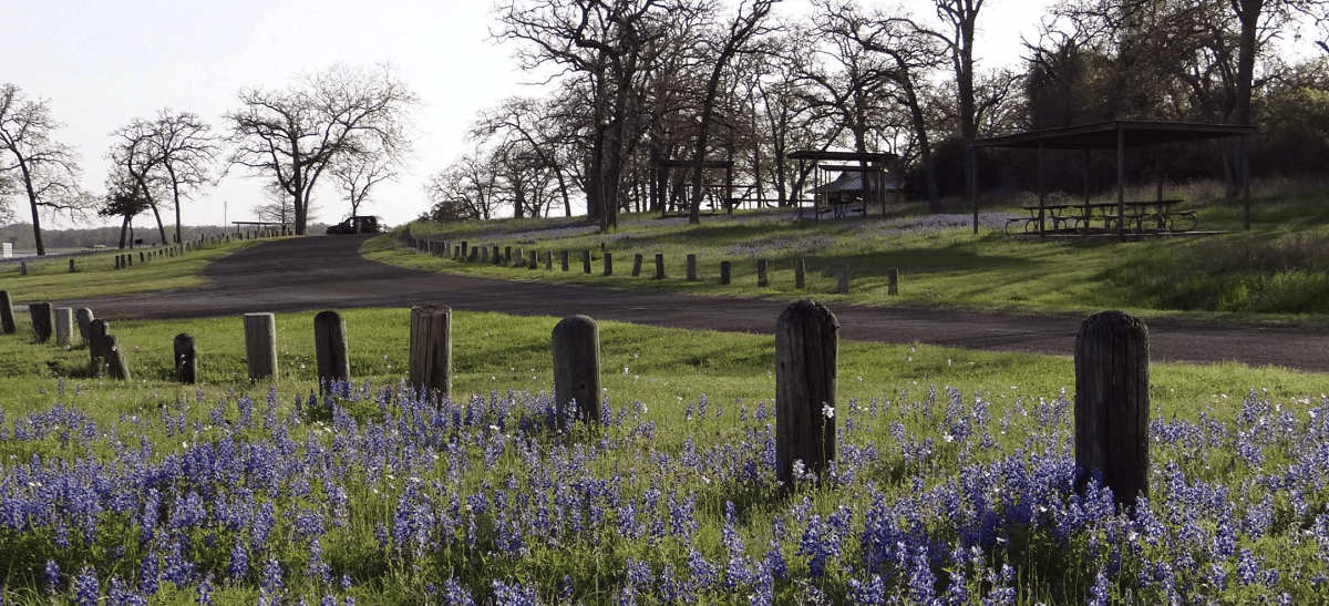 Lake Somerville State Park