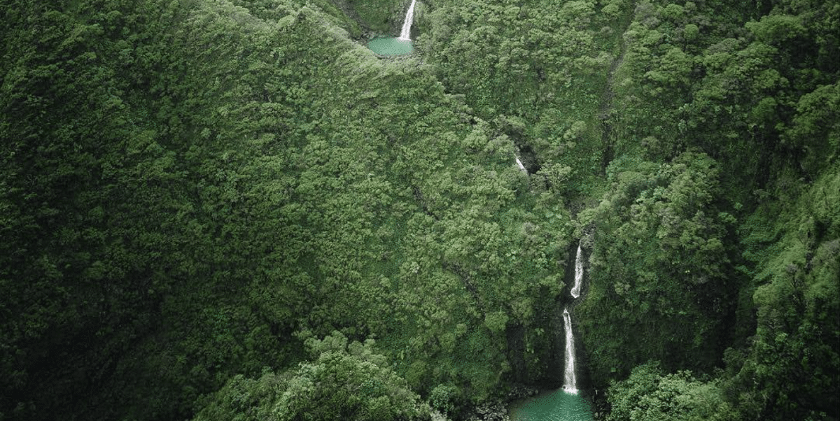 Sacred Falls - Oahu