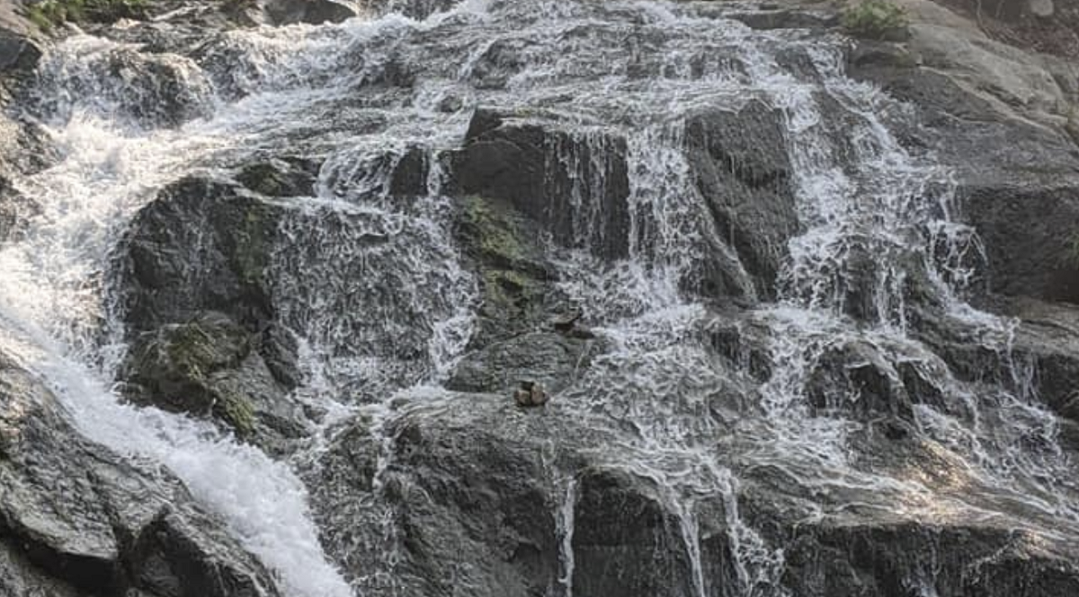 Crystal Creek Falls