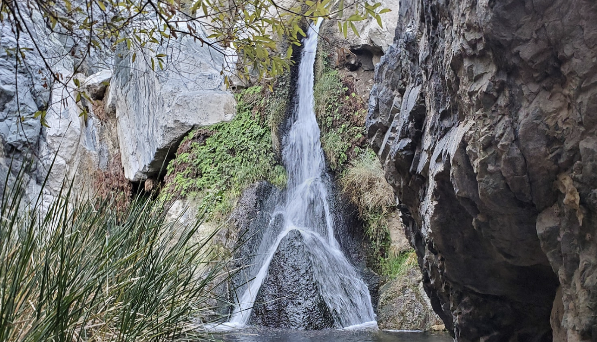 Darwin Falls