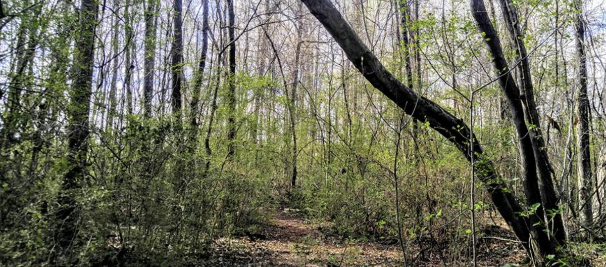 Wheeler Wildlife Refuge