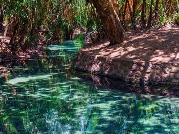 Katherine Hot Springs