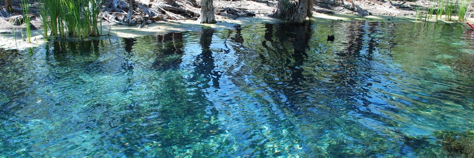 Mataranka hot springs - Australia