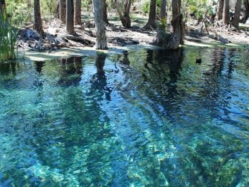 Mataranka hot springs - Australia