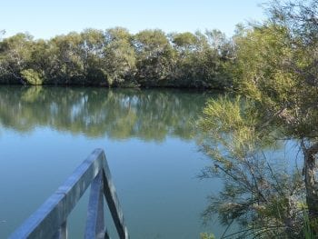 Dalhousie Springs