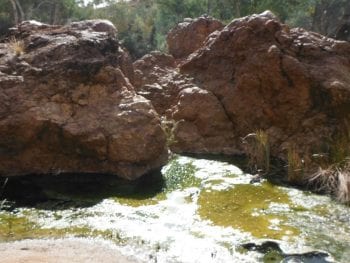 Paralana Radioactive Hot Springs