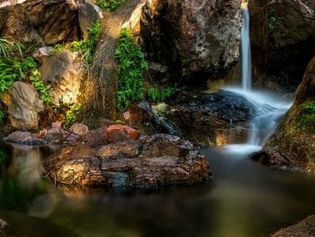 Zebedee Thermal Springs
