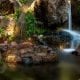 Zebedee Thermal Springs