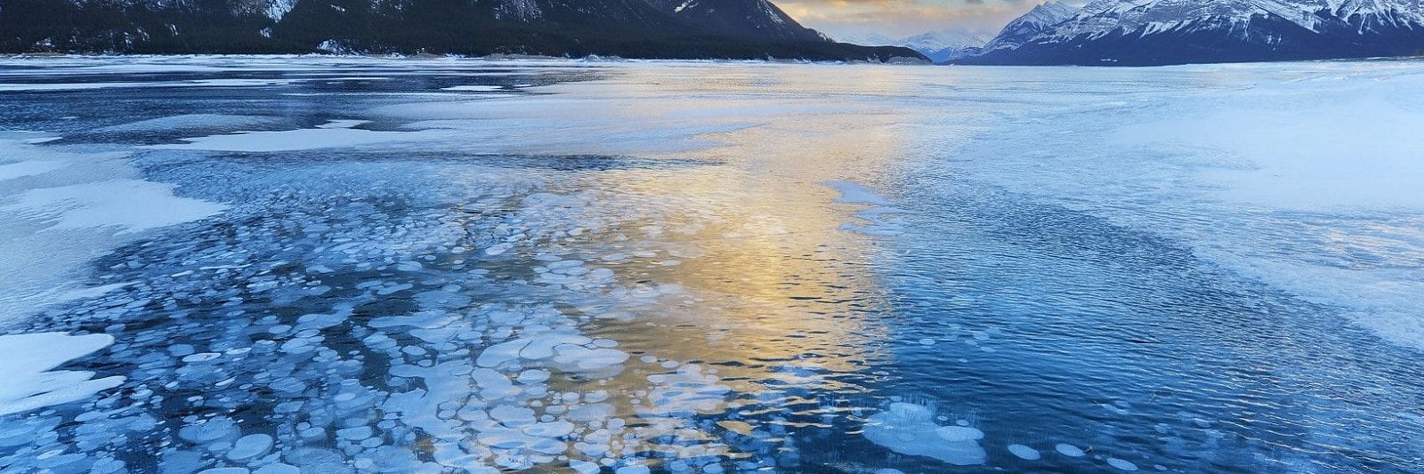 Abraham Lake Campground