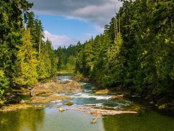 Alice Lake Camping