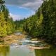 Alice Lake Camping