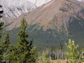 Boulton Creek Camping
