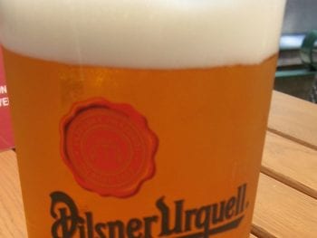 Cheers in Czech