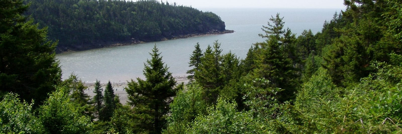 Fundy National Park