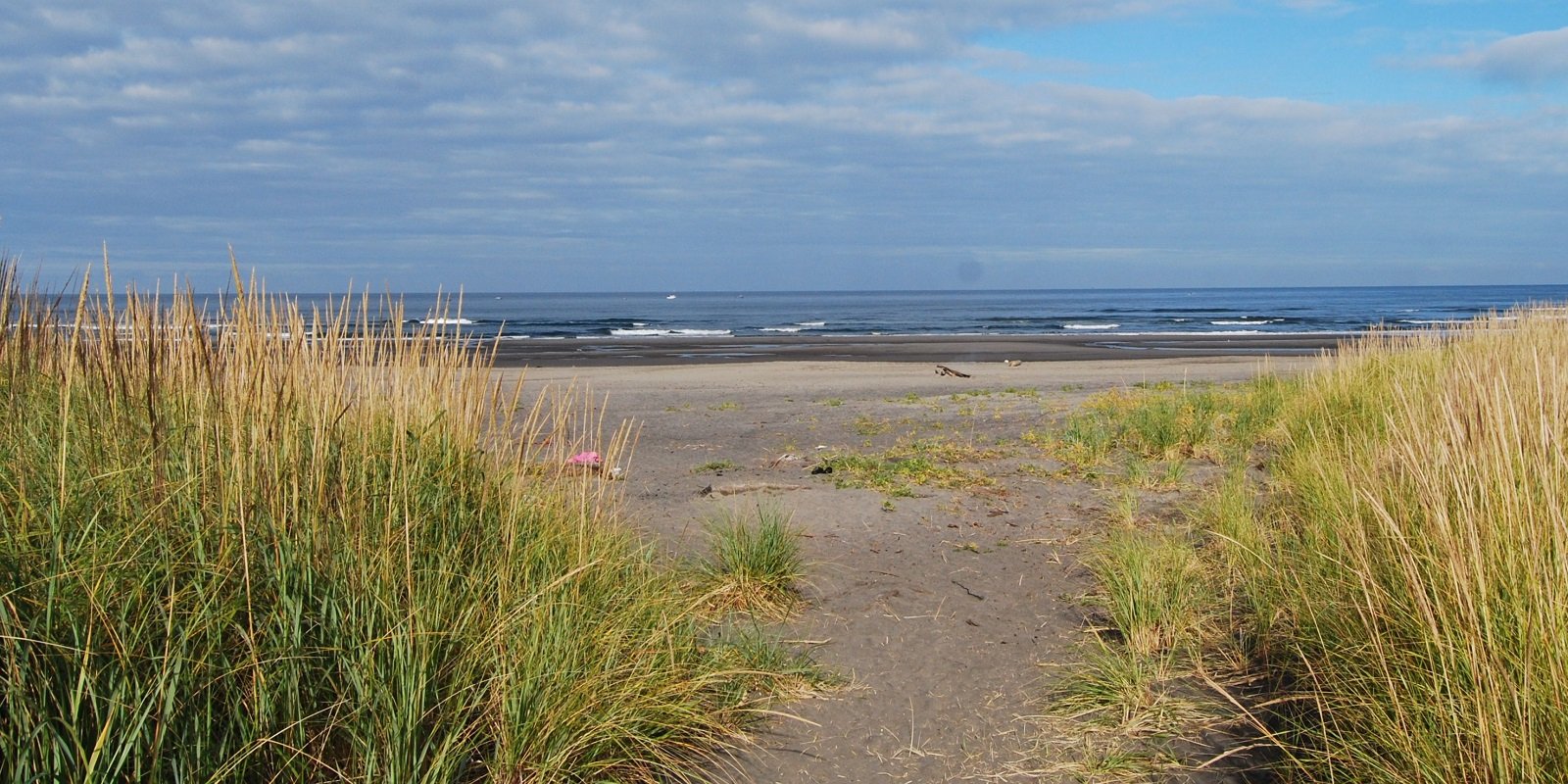 Long Beach Campground Pacific Rim National Park Camping