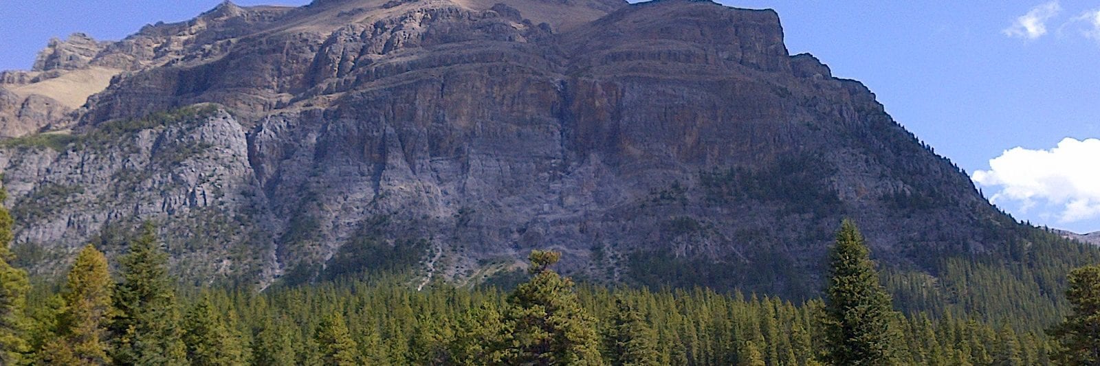 Mosquito Creek Banff