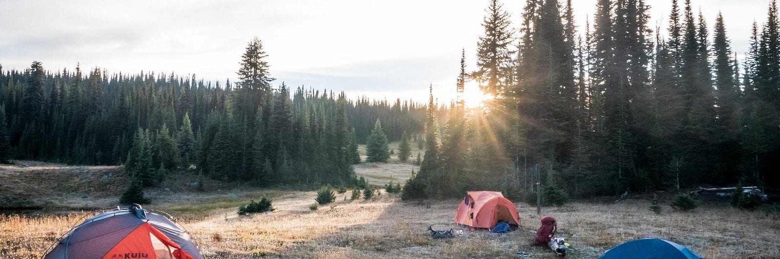 Point Wolfe Campground