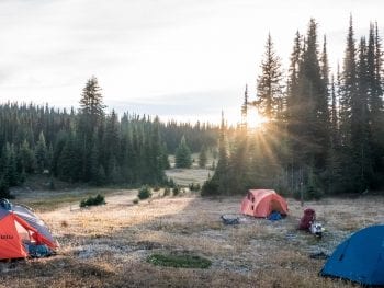 Point Wolfe Campground