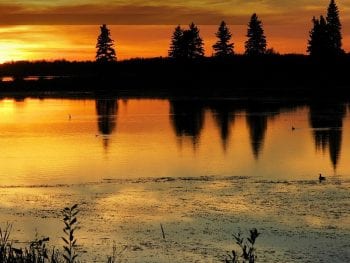 Elk Island Camping