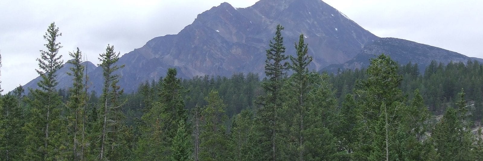 Snaring River Campground